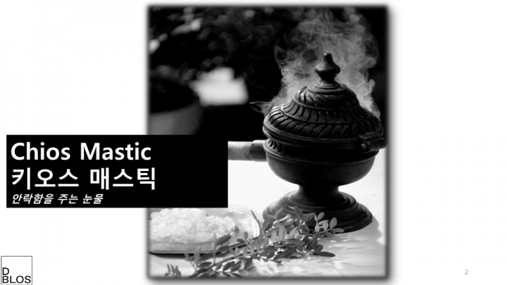 사진제공 D BLOS