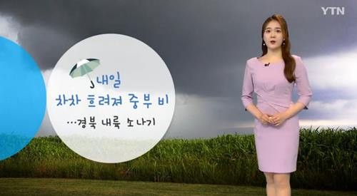사진=YTN 뉴스 캡처