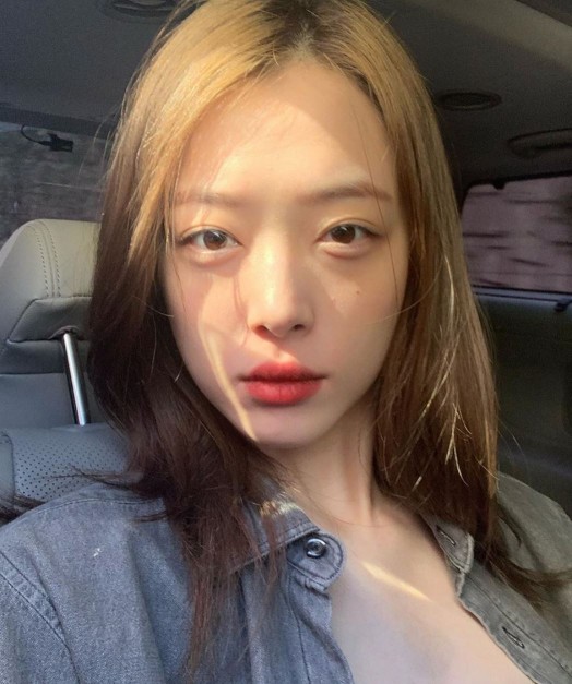 사진=설리 SNS