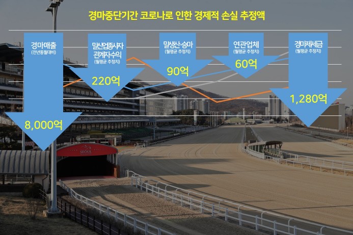 코로나로 멈춰 선 경마.... 말 산업 위기