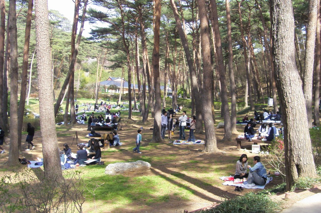 안면도 자연휴양림.(충남도 제공)