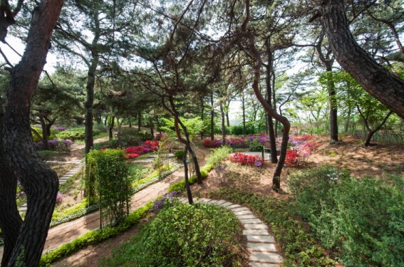 서울경마공원 산책로
