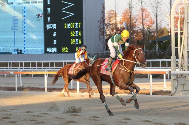 트리플나인과 임성실 기수