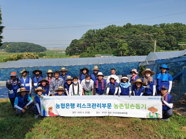 농협은행 리스크부문 임직원들이 경기도 화성시에서 농촌 일손돕기에 한 후 기념촬영을 하고 있다.