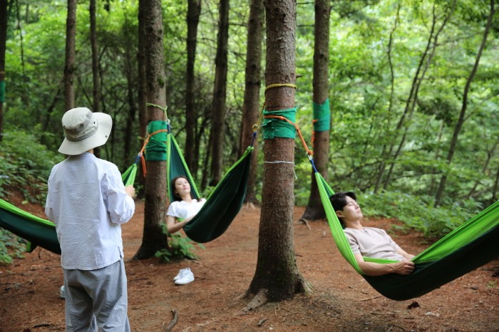 숲에 안기다(제공:산림청)