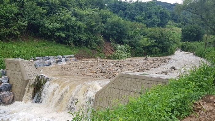 상류에서 떠내려 온 토사와 나뭇가지 등이 사방댐에 걸려 있는 모습(제공:충주산림조합)