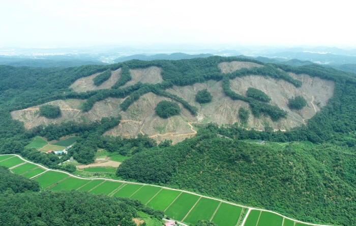 부여국유림(제공:산림청)