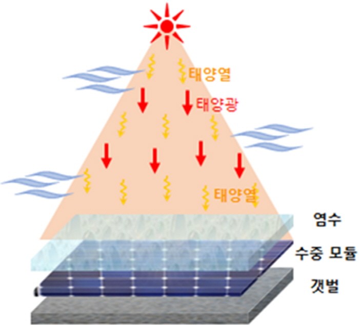 염전태양광발전 모듈