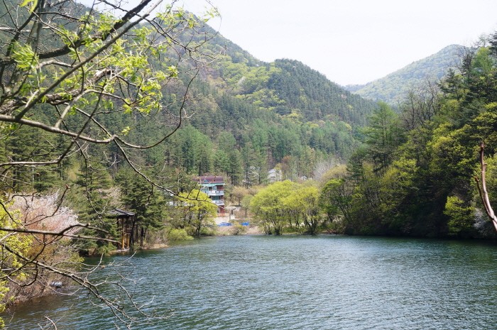 속리산 말티재 명품숲 자연휴양림(제공:산림청)