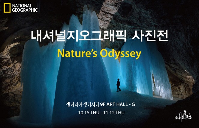 내셔널지오그래픽 사진전