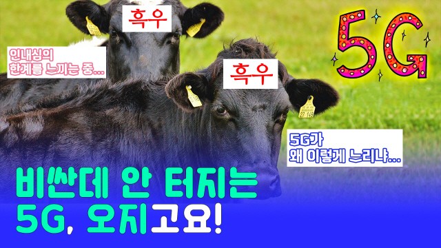 인내심의 한계를 느끼는 소비자들