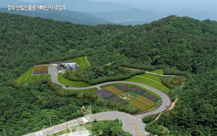 장수 산림신품종 재배단지 조감도(제공:국립산림품종관리센터)
