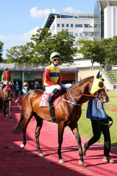 어마어마