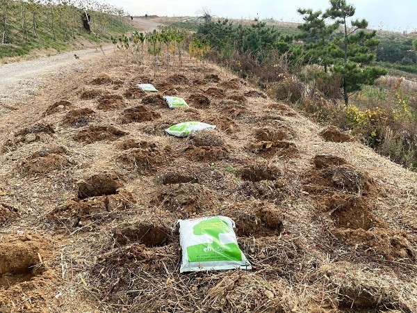태흥에프엔지, 인천 서구 수도권매립지 숲 조성 위한 상토 지원