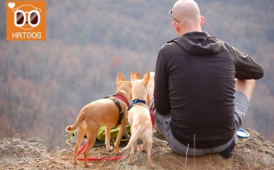 기사 섬네일