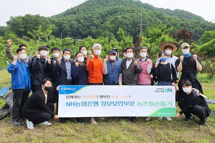 24일 농협은행 정보보안부문 임직원들이 농촌일손돕기 실시 후 기념 촬영을 하고 있다. 사진=NH농협은행