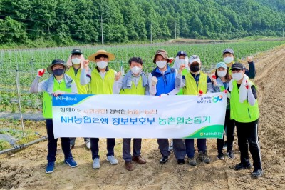 NH농협은행 정보보호부, 민통선 마을 농촌일손돕기 실시