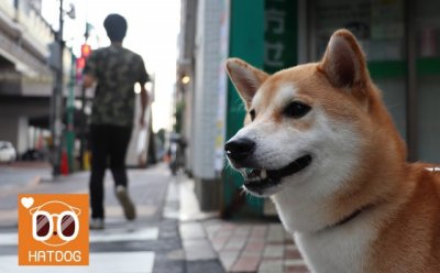 기사 섬네일