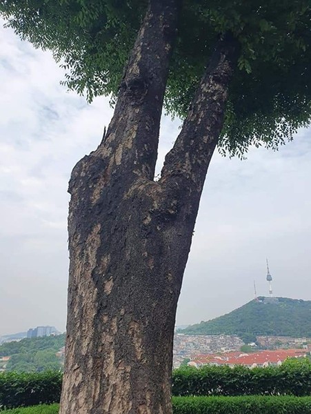 최철호 소장과 함께하는 우리동네 방방곡곡(35)
