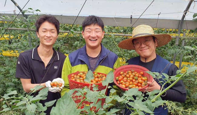 농업회사법인 팜팜의 직원들이 수확한 토마토를 들고 웃고 있다. 사진=쿠팡. 