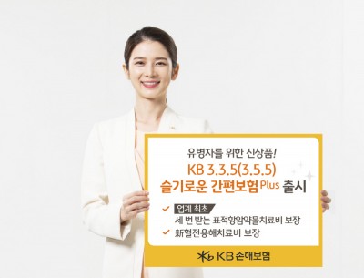 KB손해보험, ‘KB 3.3.5 슬기로운 간편보험 Plus’출시