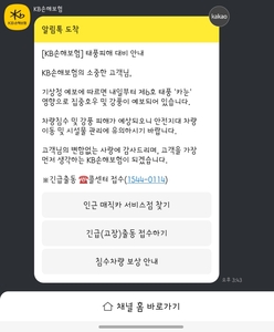 자동차보험고객에게 발송된 알림톡. 사진=KB손해보험.