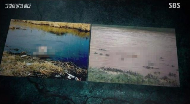 드들강 여고생 살인사건, 유사 사건 '만봉천 간호사 변사 사건' 눈길