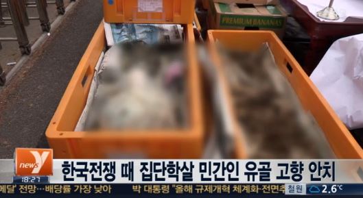 '그것이 알고싶다' 여양리 학살, 생존자 다음 날 체포? "스스로 구덩이 파게 한 뒤 총살"