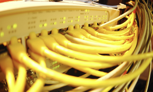 일타쌍피 DDoS 공격 첫 등장