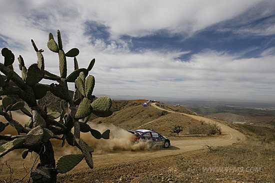 WRC 2010 WRC 2전-로브 통산 55승, 멕시코 랠리 4연패