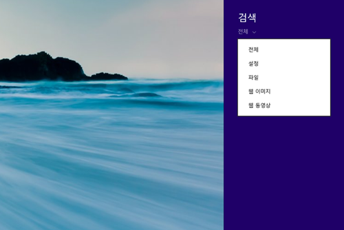 ▲ 화면 오른쪽으로 나타나는 검색 창. 전체 설정 파일 웹 이미지 웹 동영상 등 세부적인 설정이 가능하다.