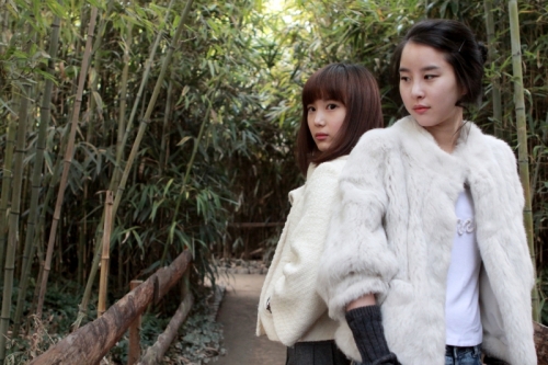 캐논