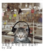PC사랑이 뽑은 '2009 베스트 블로그 100'