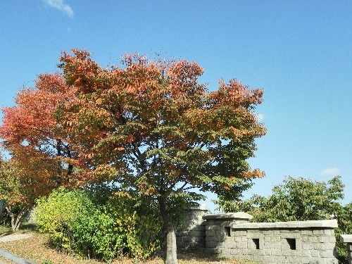 3.9MB 4000×3000 1/320s F4.5 ISO 64 노멀 33mm