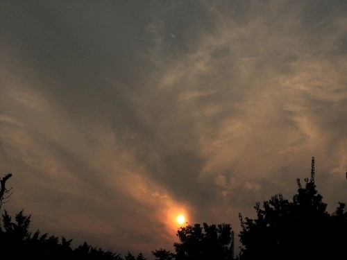 5.9MB 4000×3000 1/320s F4.5 ISO 64 노멀 33mm