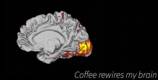 러셀 폴드랙 스탠포드대 교수는 커피가 뇌의 배선을 긴밀하게 한다는 사실을 밝혀냈다. 사진=스탠포드대 뉴스