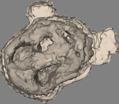 노도영 광주과학기술원 교수 연구팀이 공동으로 결맞은 X-선 회절 이미징 기법을 활용해 구현된 미토콘드리아의 3차원적 형태.