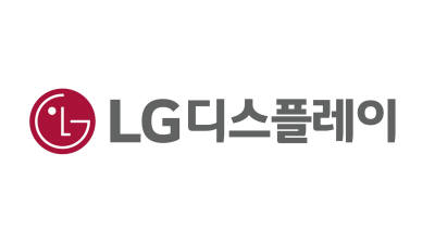 LGD, 플렉시블 OLED 라인 'E2' 가동 중단 검토…'정호영 체제' 사업 구조조정 속도