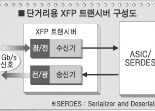 인포그래픽 섬네일