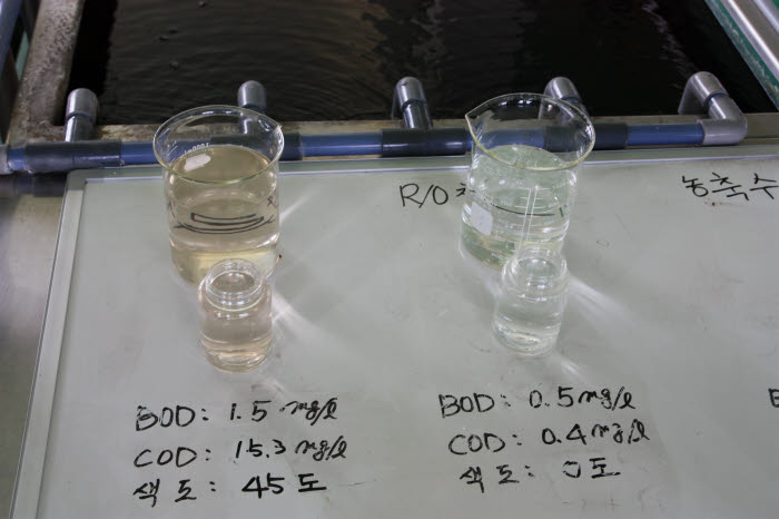 대구 성서공단 폐수종말처리장에서 배출되는 방류수(왼쪽)와 시노펙스의 폐수 재이용 시스템을 통과한 후의 처리수.
