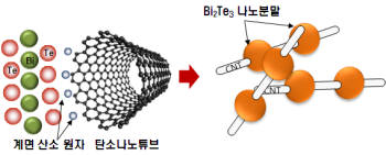 재료연구소가 개발한 탄소나노튜브와 열전소재 계면결합 공정 개념도