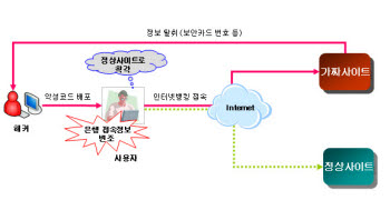 신종 파밍 기승…추가인증·변조탐지SW 의무화 필요