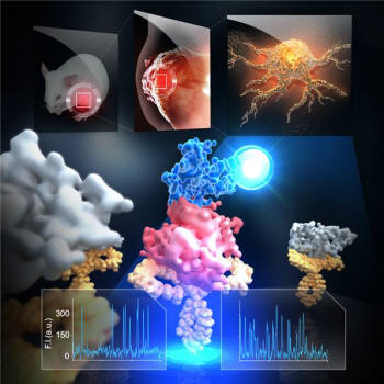형광현미경을 이용한 실시간 단분자 상호작용 관측 모식도. KAIST 연구진이 쥐의 종양에서 추출한 발암단백질을 마이크로칩에 고정한 뒤 개별 단백질의 특성을 단분자 수준에서 실시간 관측하는데 성공했다.