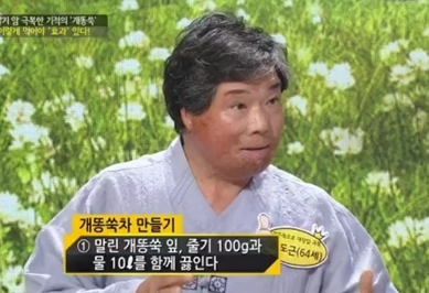 개똥쑥이 뭐길래? 이런 효과 있는 줄 알았다면…