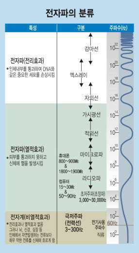 [이슈분석]전자계와 전자파