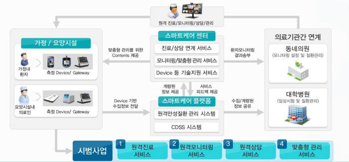 <산업부 스마트케어서비스 시범사업 개요>