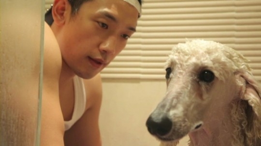 레인 이펙트 비 강아지 엄마 변신 소탈 일상 대방출