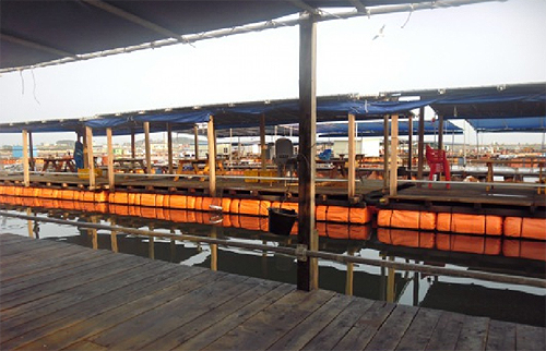Photo Image