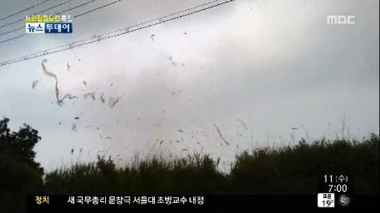 일산 토네이도 용오름 회오릴바람