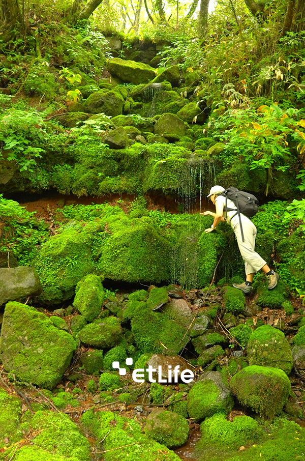 [허여사의 여행칼럼] 여름철 휴가여행 첫 단추 끼우기